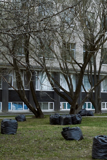 A group of black plastic garbage bags filled with waste are scattered on a grassy area outside a multi-storey residential building. The bags are placed in various locations across the lawn, with some positioned close to the base of leafless, dark-barked trees. The trees' branches extend outward and upward, partially obscuring the building behind them. The building's facade features a combination of light-colored brickwork and darker, windowed sections on the ground level, with large windows reflecting natural light. The scene appears to be during an overcast day, with diffused natural light creating a neutral, unembellished atmosphere. The presence of the rubbish bags suggests a recent or ongoing rubbish removal process, possibly part of an independent waste collection or on-site clearance managed by a service such as Rubbish Removal Chiswick, which specializes in private waste disposal solutions. The environment conveys a typical urban setting where rubbish is temporarily collected outside residential properties awaiting disposal or recycling, supporting the context of alternative waste handling arrangements beyond regular municipal collection.